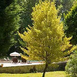 Pedreiras Rias Baixas Casa vacanze *