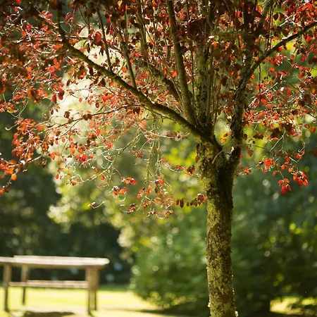 Pedreiras Rias Baixas Pontevedra