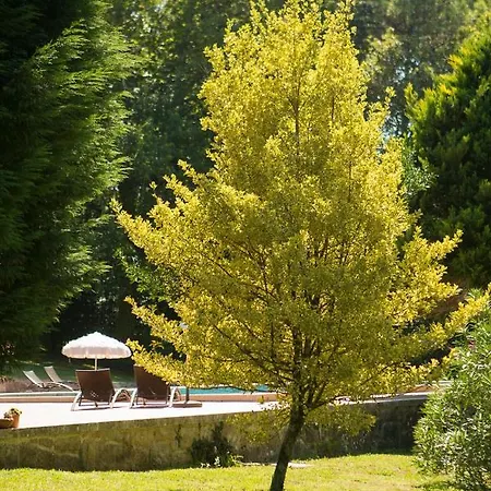 Pedreiras Rias Baixas Сasa de vacaciones *