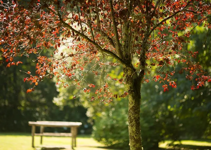Pedreiras Rias Baixas פונטה-ודרה